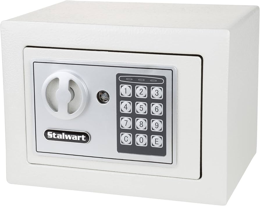 Compact Digital Security Vault